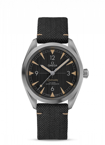 Railmaster Omega Co-Axial Master Chronometer 40 Stainless Steel / Grey / Strap