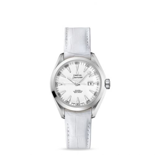 Seamaster Aqua Terra 150M Co-Axial 34 Stainless Steel / Silver