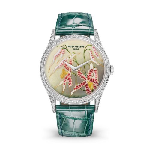 Calatrava 5077 White Gold / Diamond / Orchids
