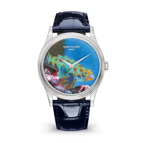 Calatrava 5177G Italian Scenes / Tropical Fish