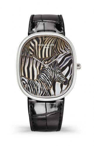 Golden Ellipse 5738 Zebra